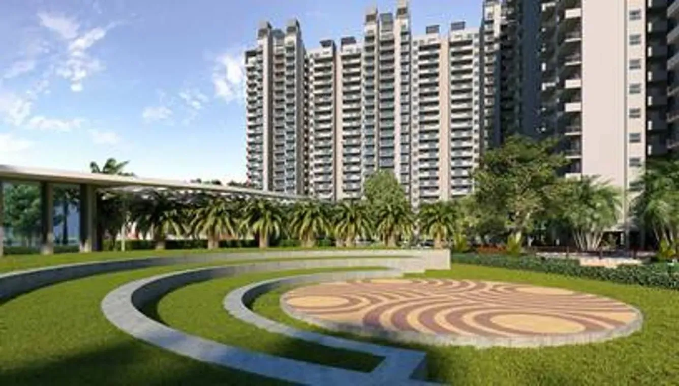 The Coralwood